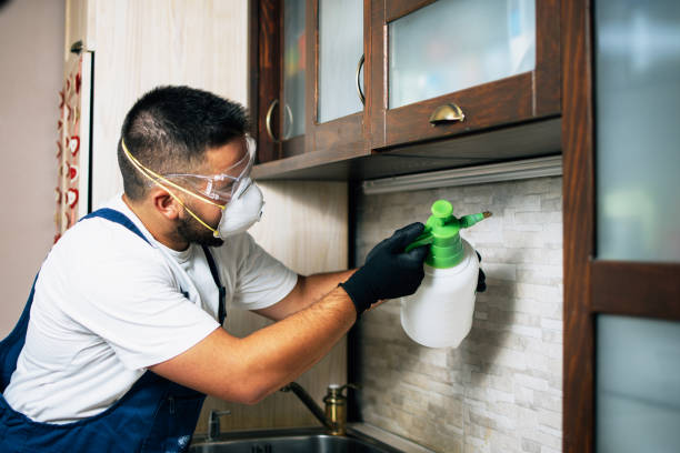 Best Wildlife Control Services  in Ellerslie, GA