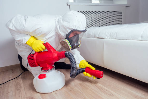Best Rat Extermination Near Me  in Ellerslie, GA