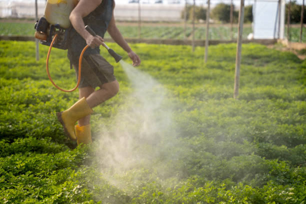 Best Exterminator Services  in Ellerslie, GA