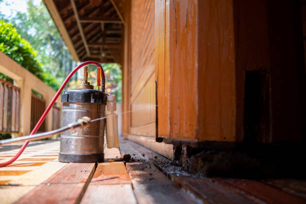 Best Pest Control for Homes  in Ellerslie, GA
