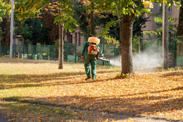 Best Spider Control Near Me  in Ellerslie, GA