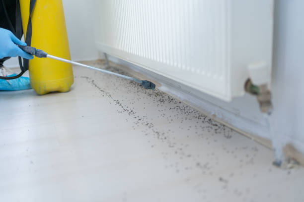 Best Best Pest Control Companies  in Ellerslie, GA